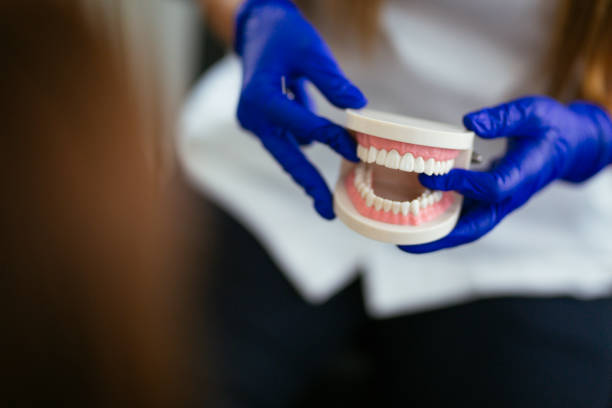 Best General Dentistry  in Clayton, NC